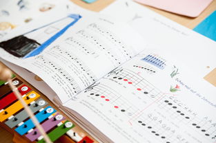 九游官网入口地址-中小学体育教师继续教育体系建设与实施研究，小学体育继续教育考试试题及答案